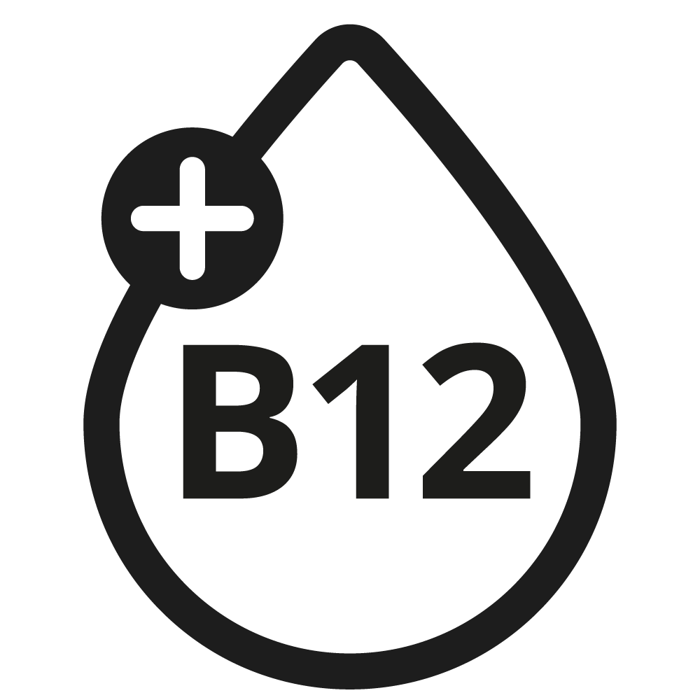 Icon Vitamin B12